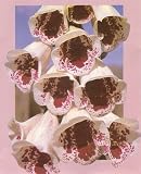 Amazon / Hirt's: Elsey Kelsey Foxglove 50 Seeds - Digitalis