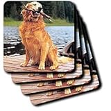 Dogs Golden Retriever - Golden Retriever - Coasters