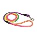 Coolrunner Pet Dog Whisperer Cesar Slip Training Leash Lead Collar (Rainbow)