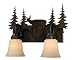 Vaxcel USA VL55402BBZ Bryce 2 Light Rustic Bathroom Vanity Lighting Fixture in Bronze, Glass