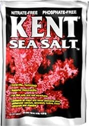 Kent Sea Salt 25Gal 6/Cs