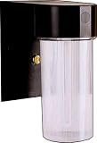 Heath Zenith SL-5680-BZ 13 Watt Fluorescent Entry Light, Bronze