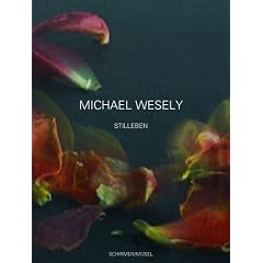 Stilleben 2001-2007: Photographien. Katalog Gemeentemuseum Den Haag