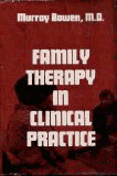 Family Therapy in Clinical Practice image