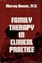 Family Therapy in Clinical Practice