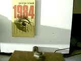 1984 - George Orwell