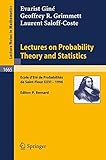Lecture on probability theory and statistics : Ecole d'eté de probabilités de Saint-Flour XXVI - 1996