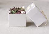 solxsol �����A�� White box S 10915