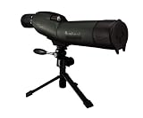 Bushnell