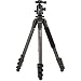 Benro Adventure 2 Series Carbon Fiber Tripod w/ B2 Ball Head (TAD28CB2)