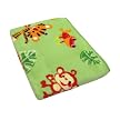 Fisher-Price Rainforest Jungle Stripe Coral Fleece Blanket