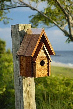 Wrental House Birdhouse