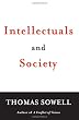 Intellectuals and Society
