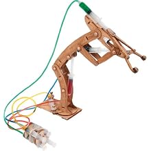 Pitsco Laser-Cut Basswood T-Bot II Hydraulic Arm