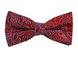 IMAGE OF 100% Silk Woven Red and Navy Growing Paisley Self-Tie Bow Tie