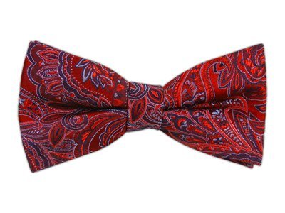 100% Silk Woven Red and Navy Growing Paisley Self-Tie Bow Tie