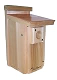 Audubon Coppertop Bluebird House