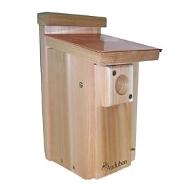 Audubon Coppertop Bluebird House by Woodlink Audubon Series