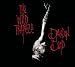 Brandon Boyd - Mirror of Venus