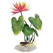 Water Lily - Medium - 8 1/2 in. - Assorted Colors