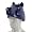 Indianapolis Colts