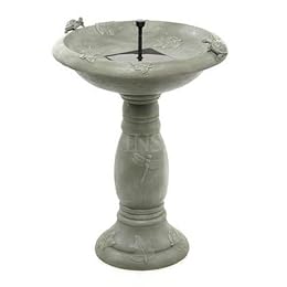 bird bath bird bath