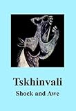 Tskhinvali : shock and awe
