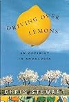 Driving Over Lemons (An Optimist In Andalucia)