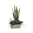 BUY : Allstate Floral WF3006-GR/VG 25" Sansevieria and Succulent Plant Arrangement with Pot