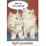 Pussy Power 2 (English, French and German Edition)