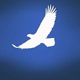 Vinyl Wall Art Decal Sticker Eagle Flight