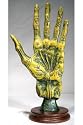 Alchemist Statue: Palmistry Hand Figure