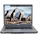 TOSHIBA Toshiba Satellite L305D-S5900 Athlon 64 X2 TK-57 1.9GHz 3GB 250GB DVDRW DL 15.4" Vista Home Premium w/Webcam - TOSZ5900