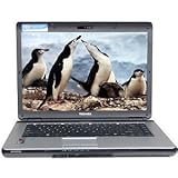 TOSHIBA Toshiba Satellite L305D-S5900 Athlon 64 X2 TK-57 1.9GHz 3GB 250GB D ....