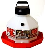 Little Giant
