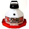 Little Giant 3 Gallon Plastic Poultry Fountain  PPF3