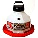 Little Giant 3 Gallon Plastic Poultry Fountain  PPF3