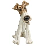 Pets With Personality - Basil The Fox Terrier