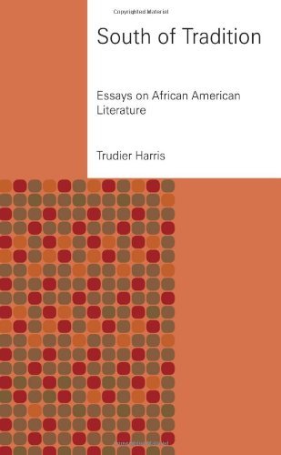 South of Tradition: Essays on African American Literature