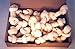 Pet Supplies : 30pcs of 4-5" White Rawhide Knotted Bones