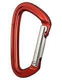 Black Diamond Positron Carabiner