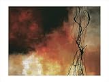 Autumn Song by Laurie Maitland poster print,47.2 in. x 35.4 in.
