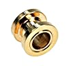 Stainless Steel Gold Color Screw In Plugs 4G - Sold as a Pair