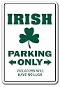 IRISH ~Novelty Sign~ parking ireland flag beer gift