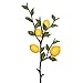 Vickerman FK171702 Lemon Fruit Spray