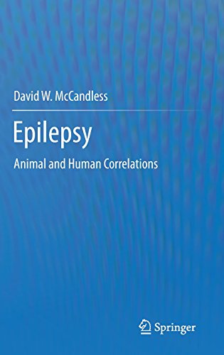 epilepsy animal and human correlations