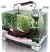 Arcadia Arc Tank 35L Nano-Aquarium Complete Komplett-Aquarium