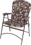 Outdoor Living : BRN STL Fold Chair