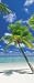 Brewster 2-1883 Ari Atoll 2-Part Door Mural, 3-Foot by 7-Foot 3-Inch