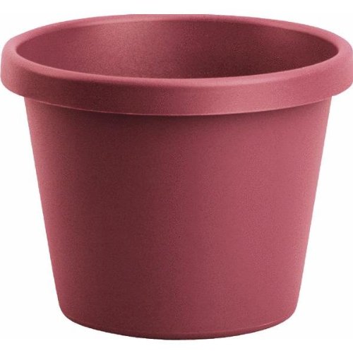 best value Classic Clay Flower Pot 12 In online flower pots outdoor